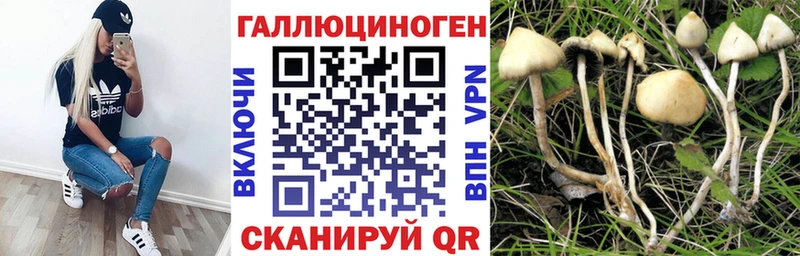 наркошоп  Учалы  Псилоцибиновые грибы мицелий 